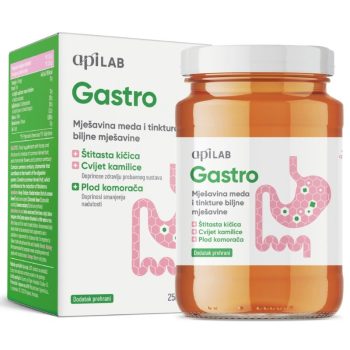 Apilab Gastro med za želudac i probavu 250ml